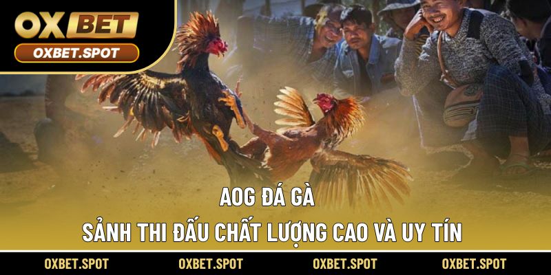AOG đá gà
