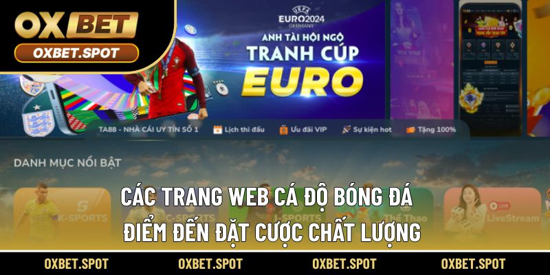 Các trang web cá độ bóng đá