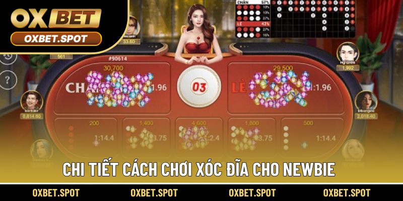 Luật đơn giản trong từng trải nghiệm chơi xóc đĩa