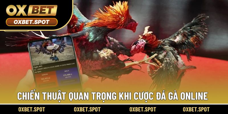 Chiến thuật hiệu quả trong mỗi ván cược chiến kê online