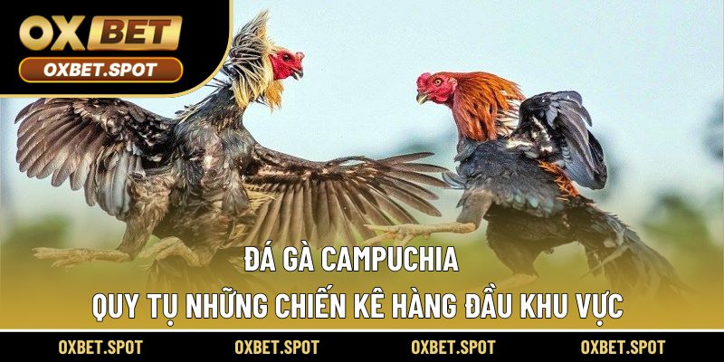 Đá gà Campuchia