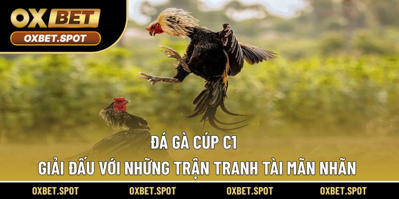 Đá gà Cúp C1