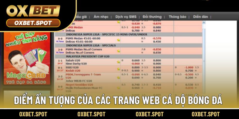 Các trang web cá độ chất lượng trong trải nghiệm