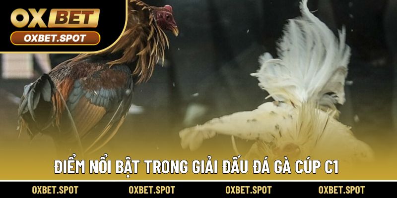 Điểm nổi bật khi trải nghiệm trong giải đấu cúp C1