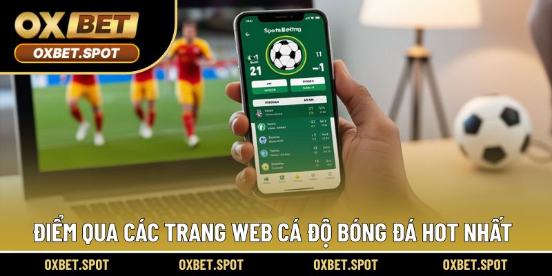 Điểm qua những địa điểm cá cược chất lượng