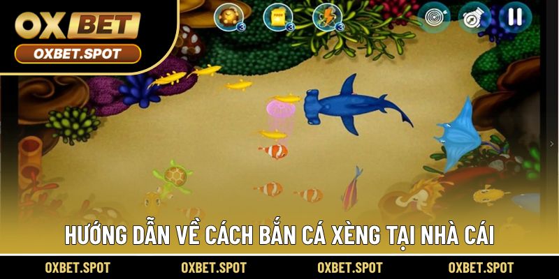 Hướng dẫn về cách bắn cá xèng tại nhà cái