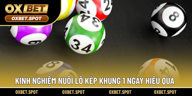 Những mẹo hay giúp tăng tỷ lệ trúng khi chơi lô kép