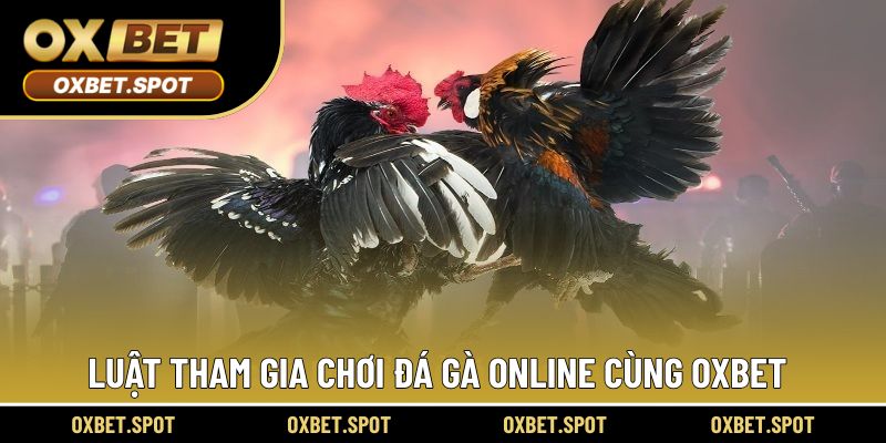Luật tham gia chinh phục thử thách với đá gà OXBET