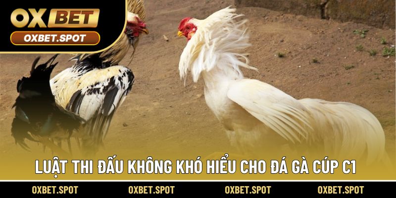 Luật thi đấu ấn tượng trong từng trận cúp C1