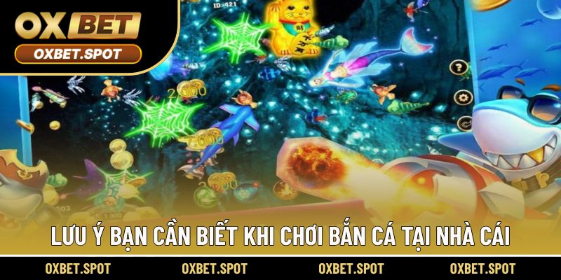 Lưu ý bạn cần biết khi chơi bắn cá tại nhà cái