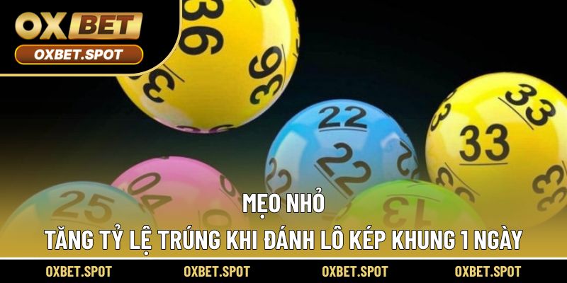 Bí quyết nuôi lô kép khung 1 ngày đạt hiệu quả