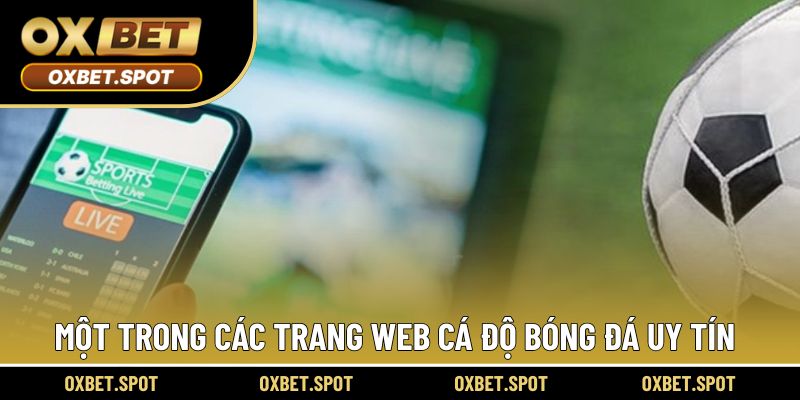 Đây chính là một trong các trang web cá độ bóng đá uy tín