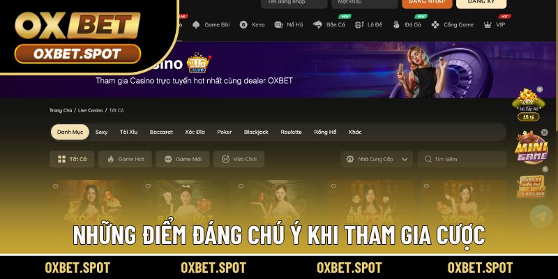 Những điểm đáng chú ý khi tham gia cược