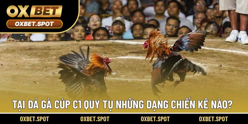 Tại đây quy tụ những dạng chiến kê thi đấu ấn tượng