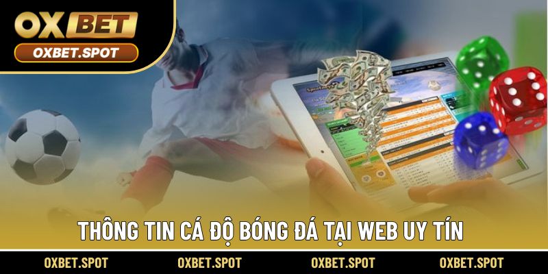 Thông tin cá độ bóng đá tại web uy tín
